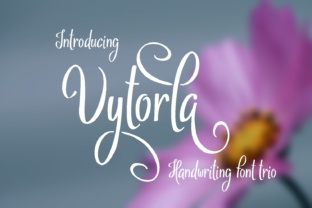 A Designer’s Look at the Vytorla Font for Web Projects