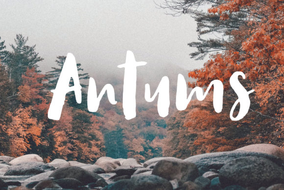 Antums: A Hand Drawn Brush Font with Fresh Character