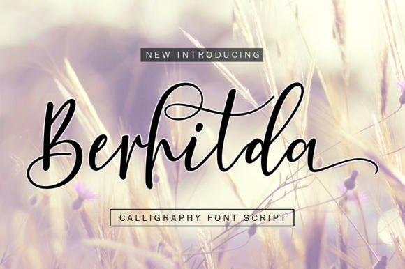 Berhilda: A Modern Script Font That Makes Your Campaigns Feel Human