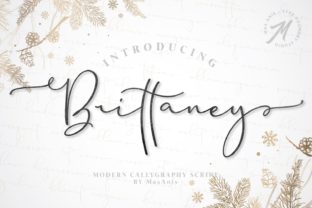 Brittaney: A Designer’s Honest Field Test