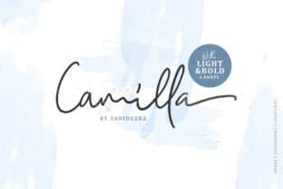 Camilla Family: A Modern Script Font for Digital Design