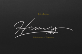 Hermes Reviewed: A Designer's Field Notes