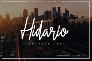 Hidario Font: A Designer's Real Campaign Review