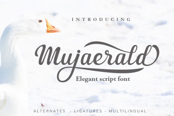 Mujaerald: A Clear Script Font for Modern Web Design